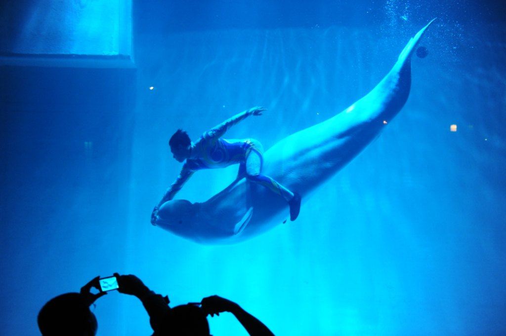 辽宁大连推荐旅游景点,辽宁大连旅游必去景点