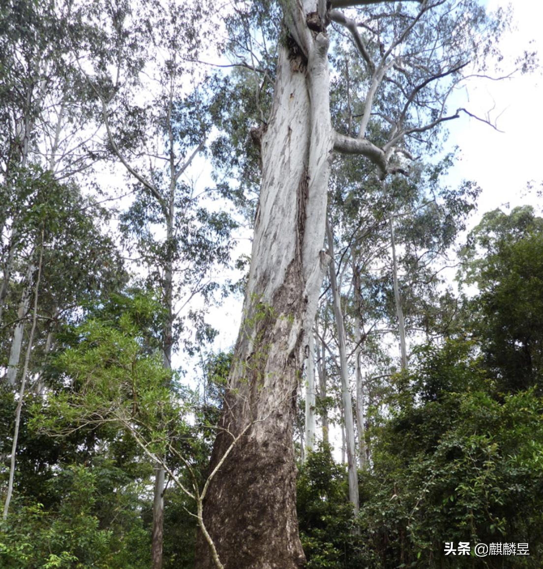 全屋定制板材环保级别,全屋定制板材怎么选