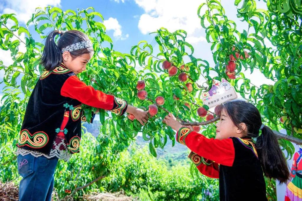吃货们有福啦 ! 攀枝花承包了你一年的甜蜜……
