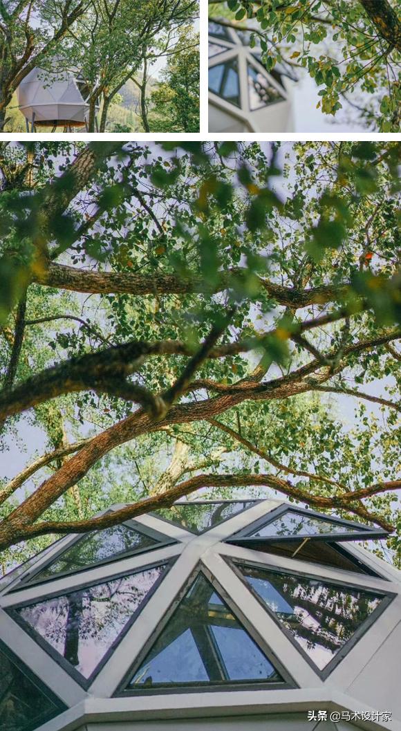 南通树屋酒店,森林树屋酒店