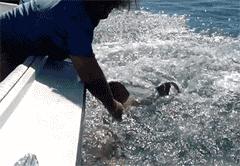 开心一刻gif下雨天,搞笑gif笑到肚子疼意外瞬间特辑