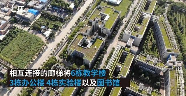 为什么选择西安外国语,为什么报考外国语学院