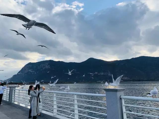 昆明是浪漫又土豪的城市,昆明是个很浪漫的城市