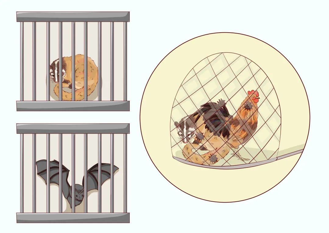 疫情防控戴口罩法律依据,疫情防控相关法律法规