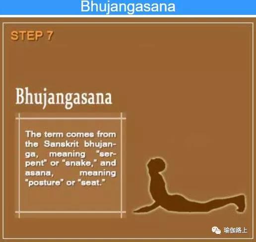 哈他瑜伽拜日式完整教程,哈他瑜伽拜日12式详细口令