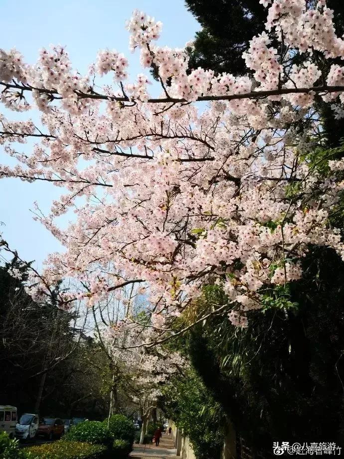 青岛最出名的吃的和玩的地方 (青岛好吃好玩的地方排行榜前十名)