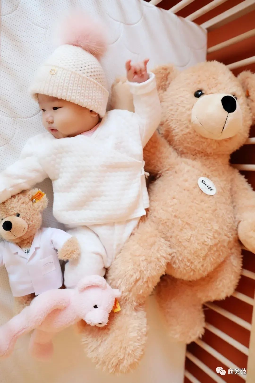 新家入住必买的10件家具,9件超实用的家居好物推荐