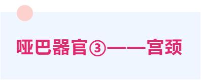 多年996的你,这三个「哑巴」器官还健康吗?