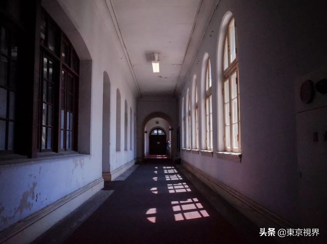 我在京都，攒下一整个春日的绝美樱色送给你。