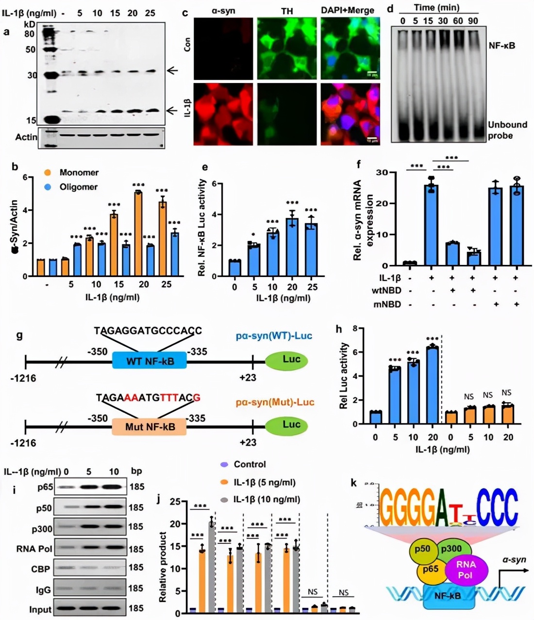 脑科学日报,脑科学日报在线阅读