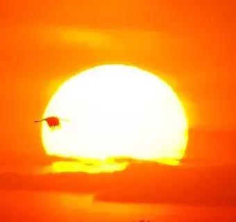 大趋势：1亿人进城是否会撼动房价？（实话地产第二十期）