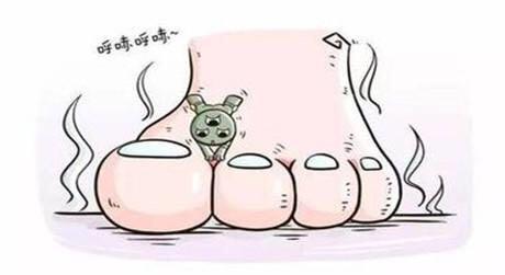 什么是脚气得了脚气怎么快速消除,脚气和真正的脚气病有什么区别