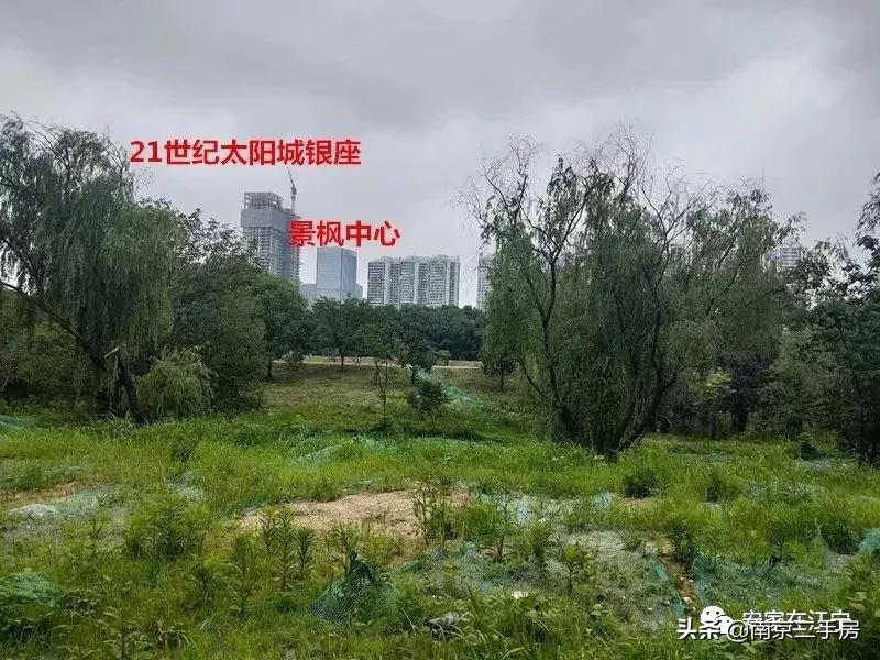 凭实力吸粉!成交破4万/㎡,实探百家湖“网红”神盘