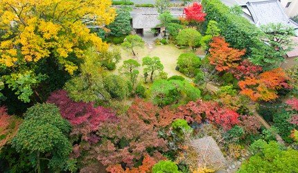 日本旅游住温泉旅馆,去日本住温泉酒店有好的推荐