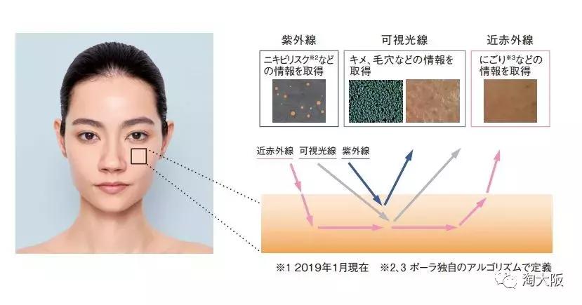 pola全部产品,pola哪个系列最好