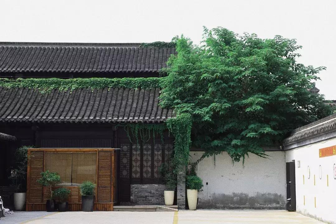 扬州城里诗情画意的民宿，感受“月亮城”最浓郁的市井风情