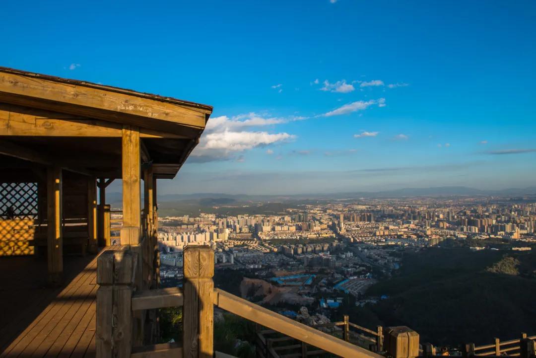 机票白菜价,五一青岛去哪里机票最便宜