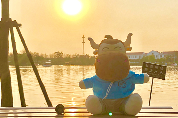 开发票是对公转账还是转给个人,开发票不对公走账可以么