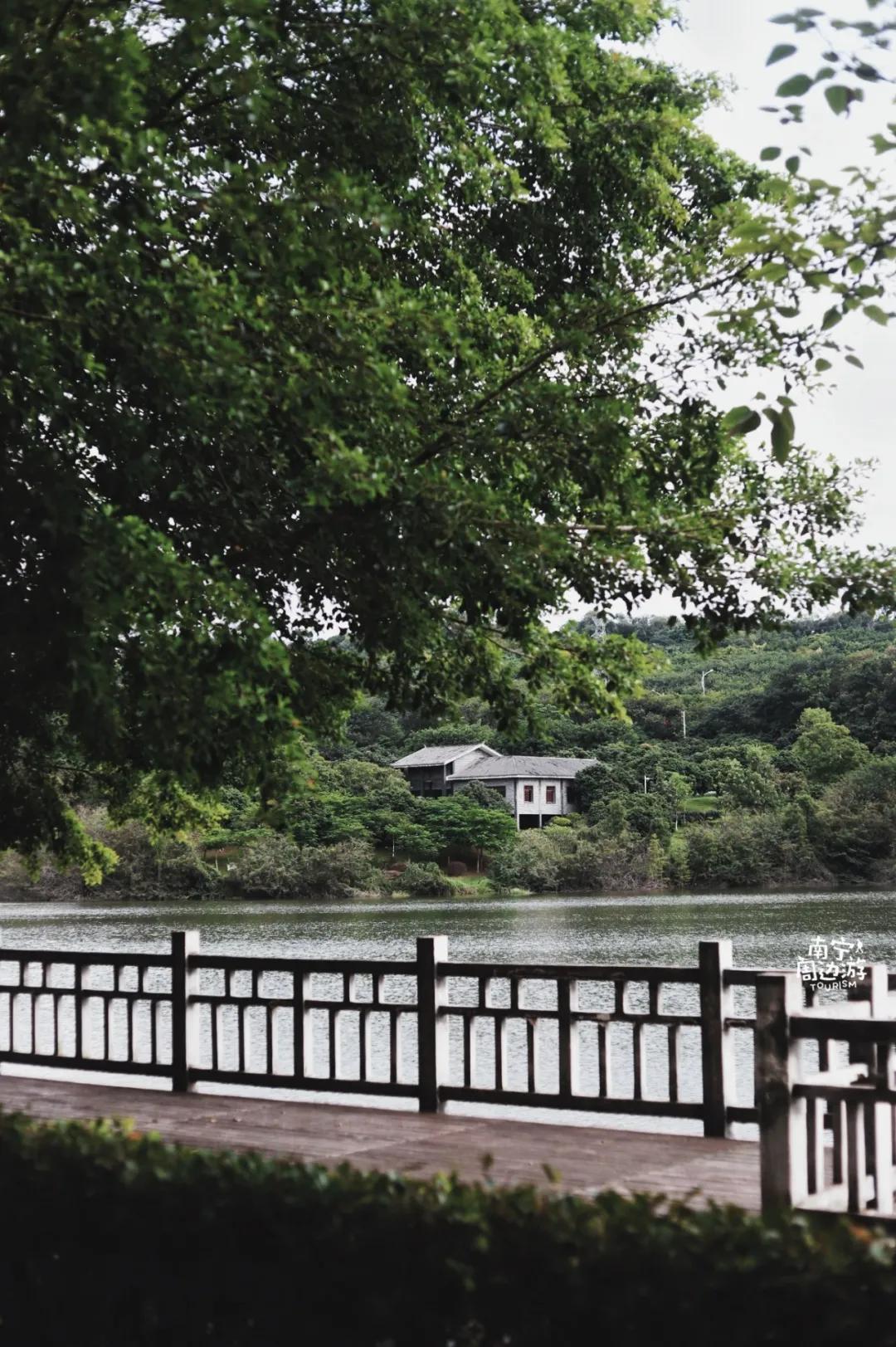 南宁花海公园在哪里,南宁嘉和城附近花海