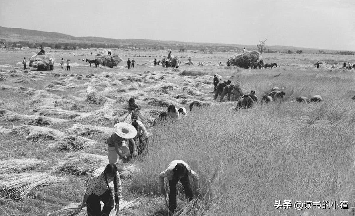 80年代农村淘金热：“跑红两千”病毒式传播，倾家荡产在所不惜