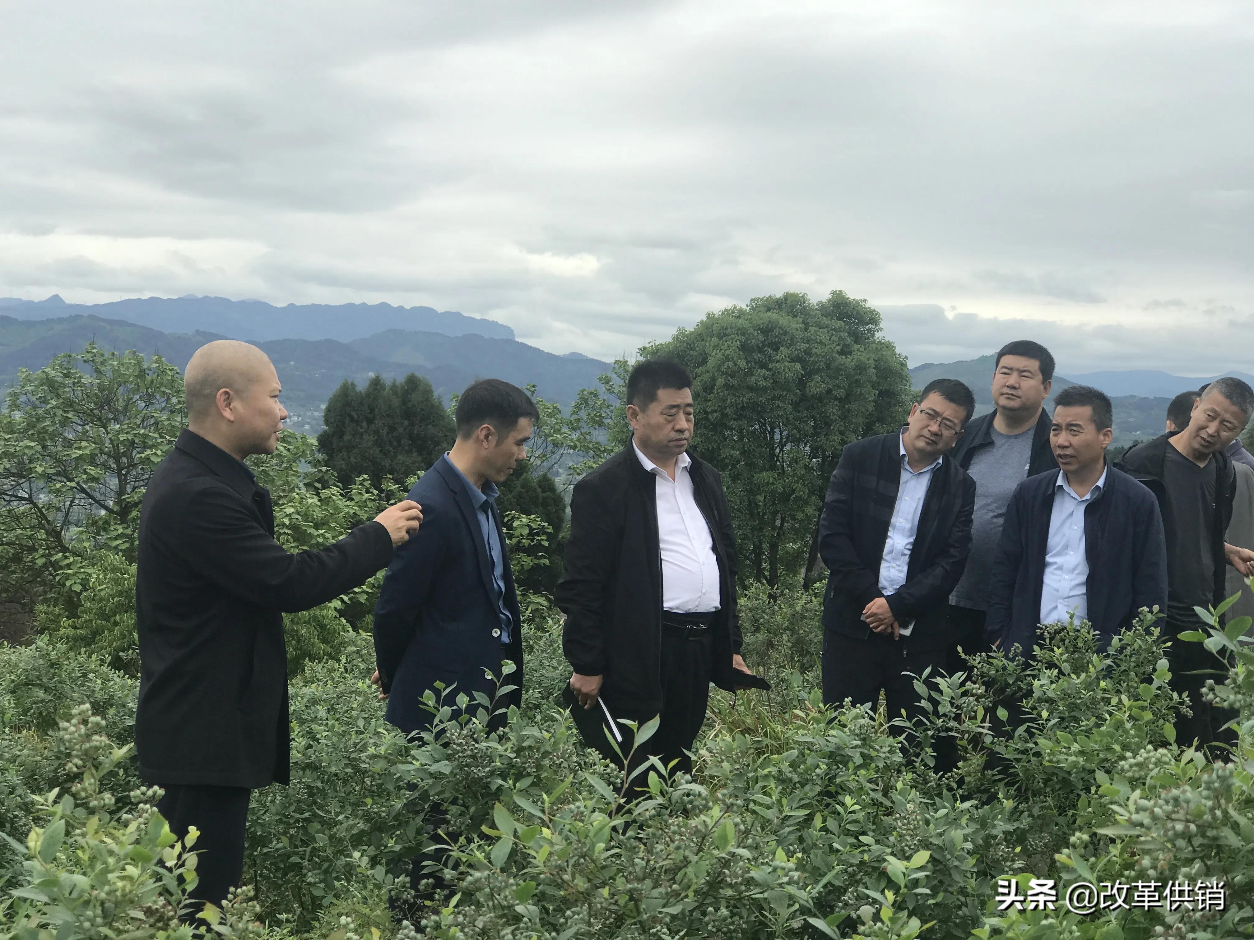 供销合作社重点任务,供销社三个一体模式