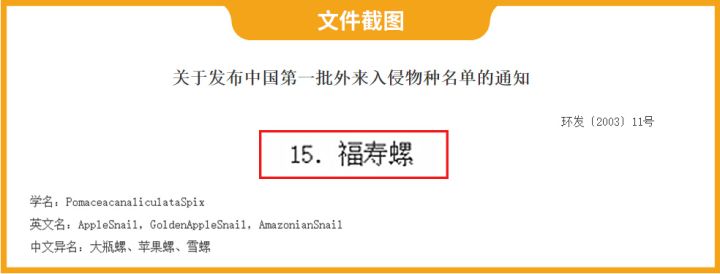 这种螺千万别吃,什么螺吃了会头晕