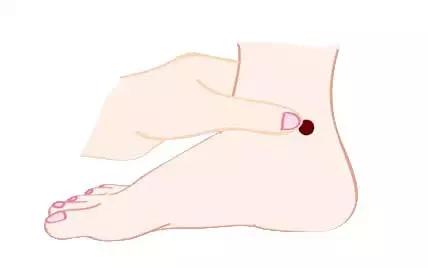 含铁的食物适合经期,维生素c和含铁的食物