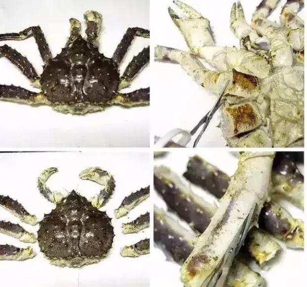 海鲜清洗大全每个都实用到爆,海鲜美食清洗法大全