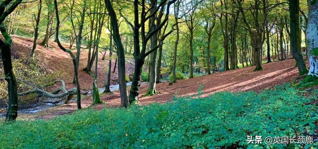 英国秋天好去处,英国秋天旅游必去的地方