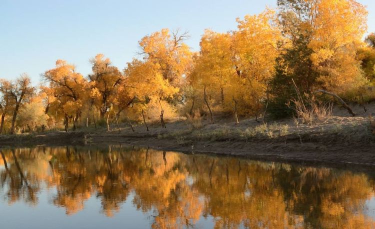 教改20年,三线以下城乡素质教育的问题和希望(原创