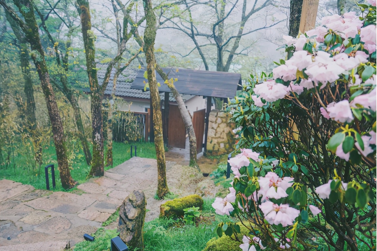 「妙想黄山奇思回潮」黄山“一日管家”第二期招募开始啦