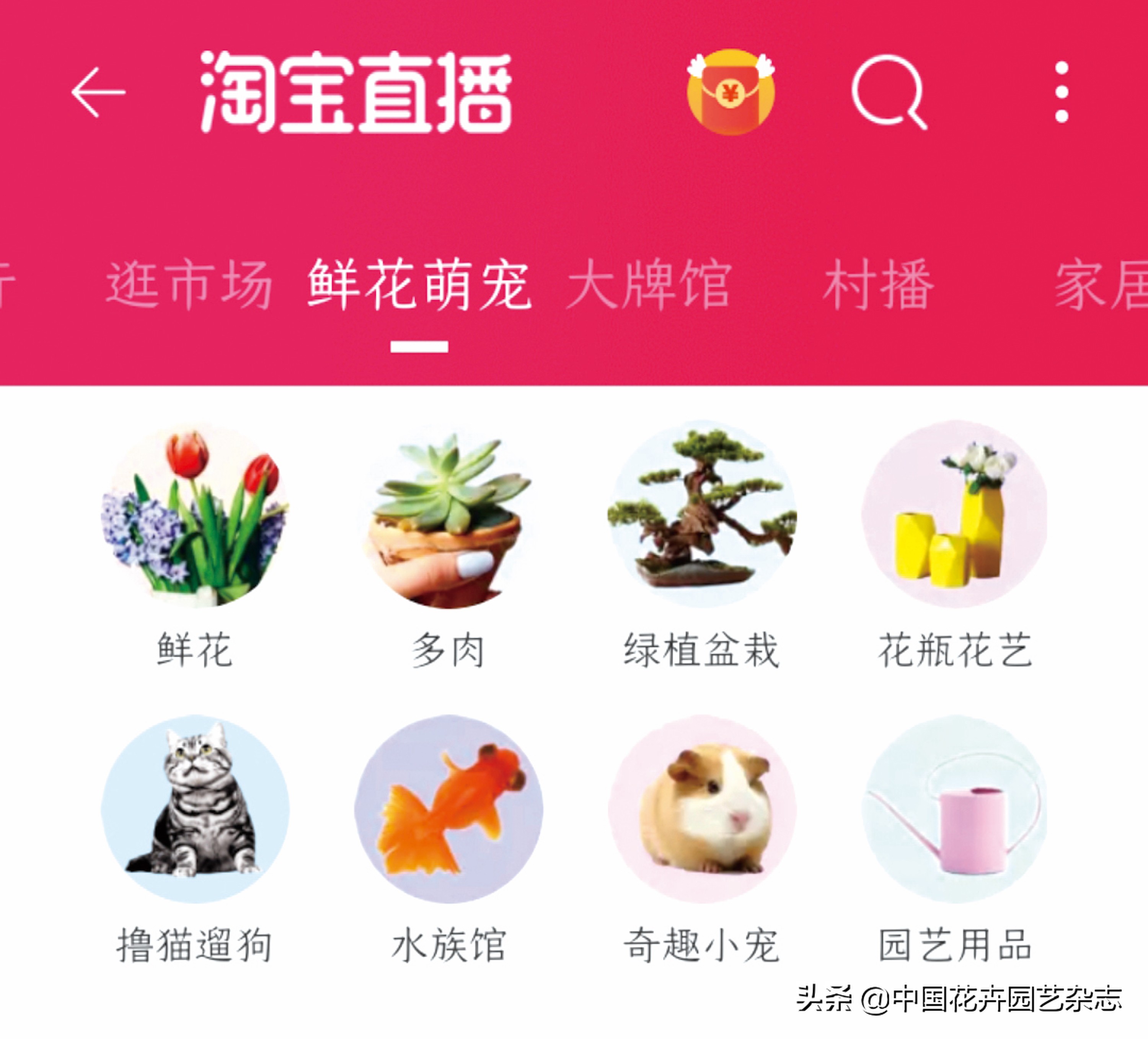 传统电商平台：不变的是一直在变|《中国花卉园艺》2020年7期专题