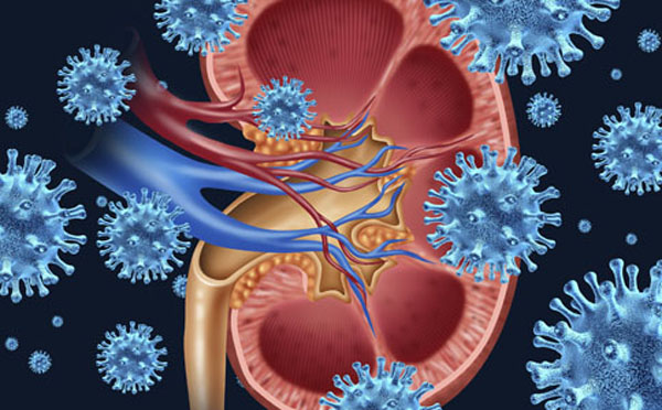 肾炎水肿常用良方西药,肾炎水肿的中药治疗方法