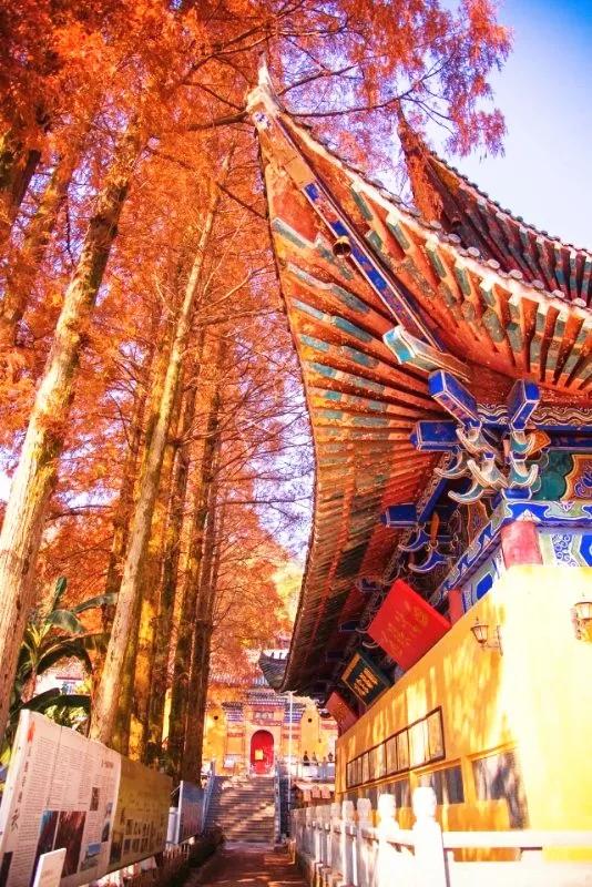 大局已定2020,大局已定开始扭转乾坤