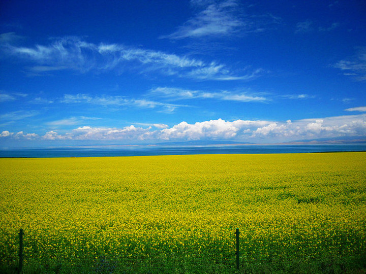 青海甘肃大环线自由行攻略,甘肃青海湖环线七日游冬天