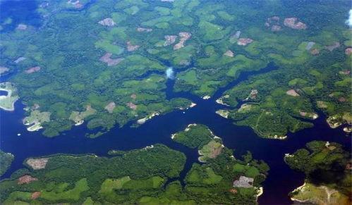 世界上最邪恶的鱼，竟然喜欢攻击人类的隐私部位，它是什么来历？