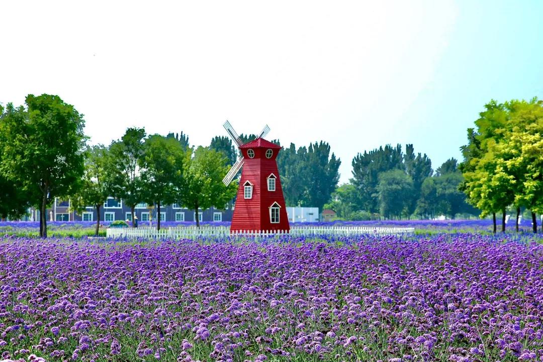 2020丰台文化和旅游消夏季活动正式启动！5条线路，游园、嬉水、赏花、亲子、夜游，全都有！