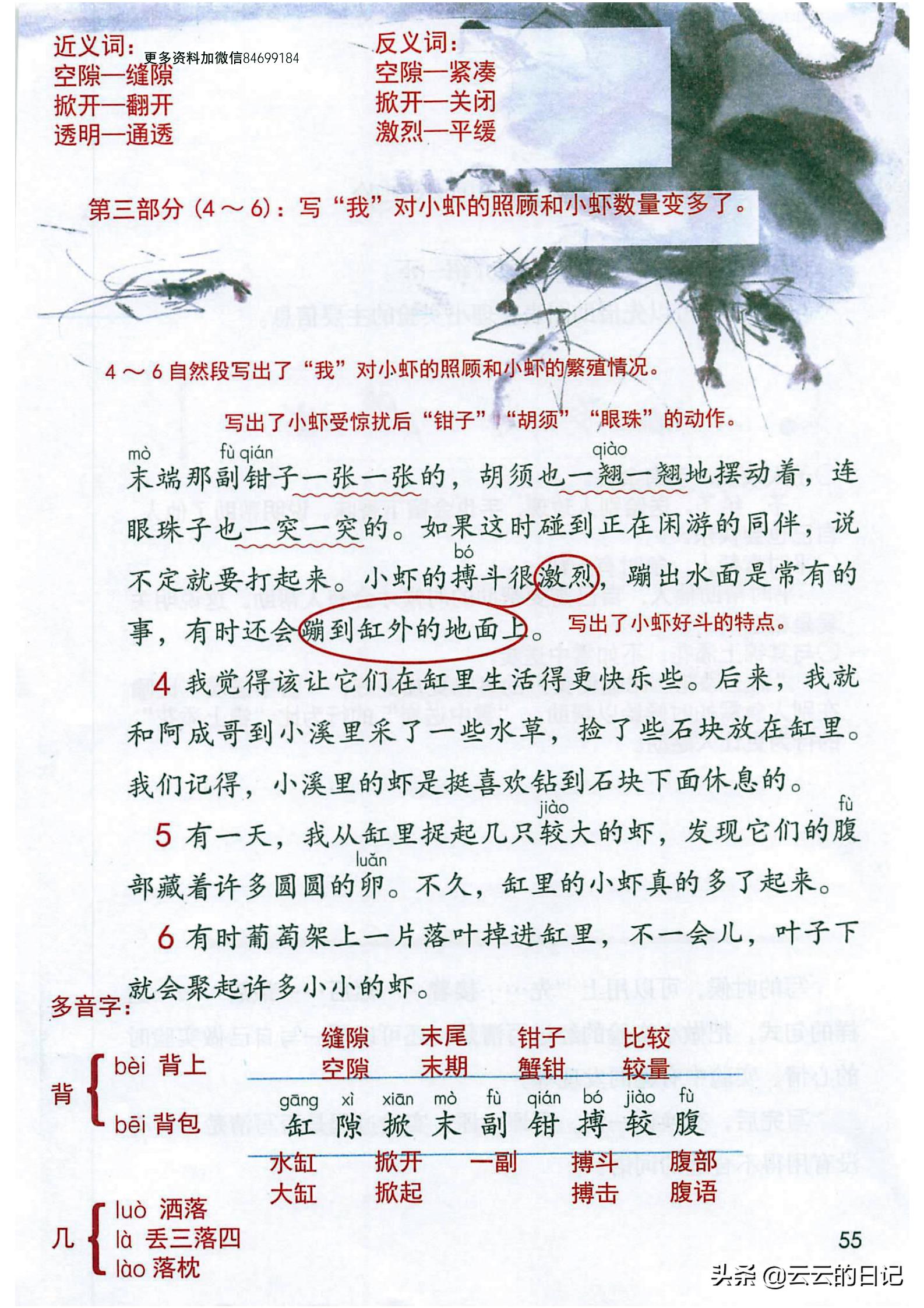 三年级下册语文笔记完整版讲解,三年级下册语文第一课注释