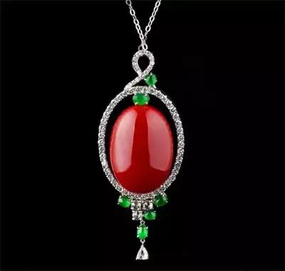 海洋的珍宝,海洋中珍贵的珊瑚