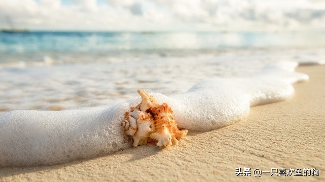 不删除不拉黑是我对你最后的承诺,不联系不删除是我对你最后的温柔