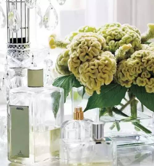 花艺插花常见花名有哪些,鲜花插花的技巧有哪些