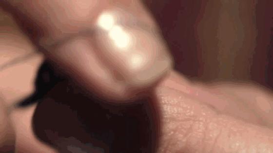 美版王思聪：放弃1200亿家业，做全球最牛动画杀进奥斯卡