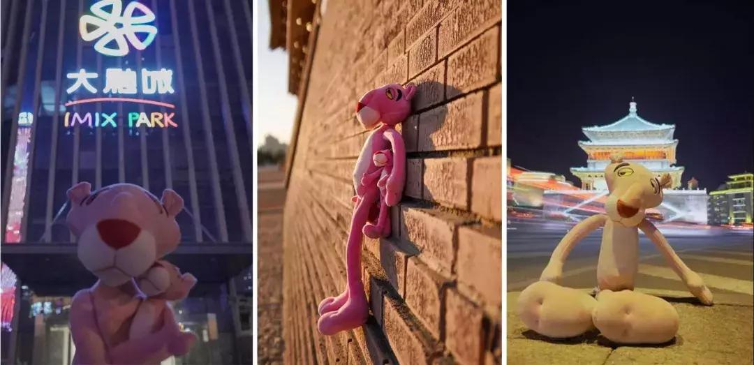 张韶涵张信哲最新综艺,张韶涵张信哲演唱会图文