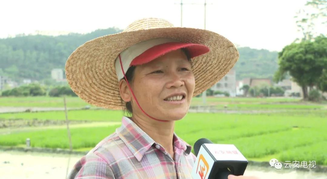 微耕机补助政策,农业补贴政策微耕机