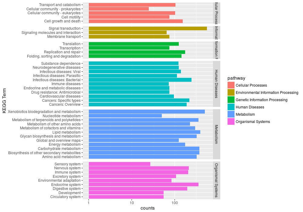 肠道菌群宏基因组,肠道微生物宏基因组检测有必要吗