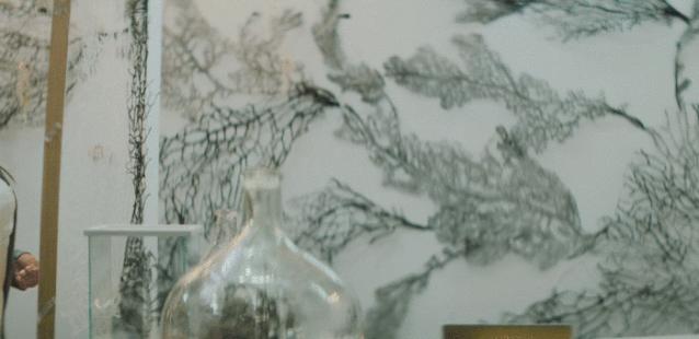 爱马仕2023橱窗设计最新款,爱马仕2022橱窗设计效果图