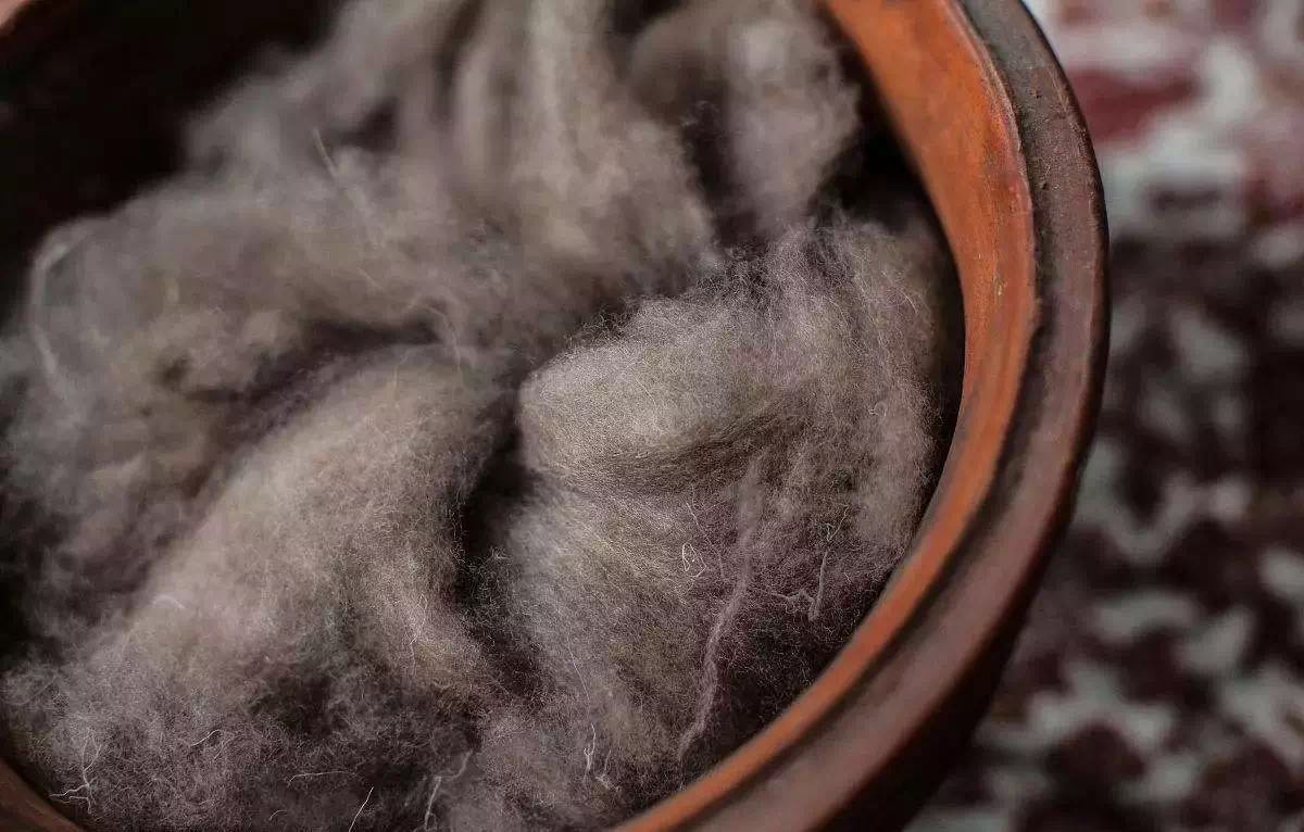 克什米尔羊毛跟羊绒的区别,100支高支羊毛和羊绒的区别