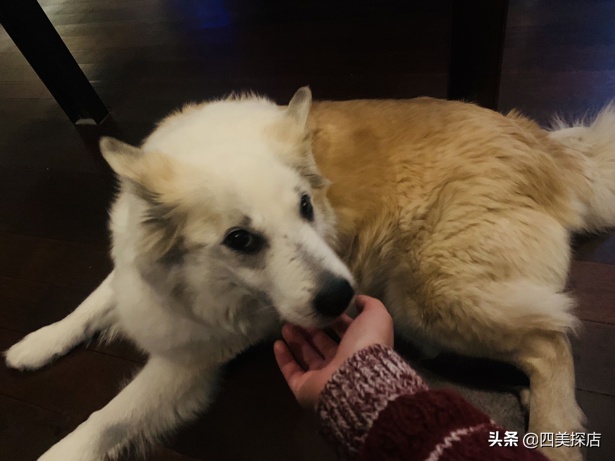 四美在泰国哪里,西班牙巴塞罗那春节旅行