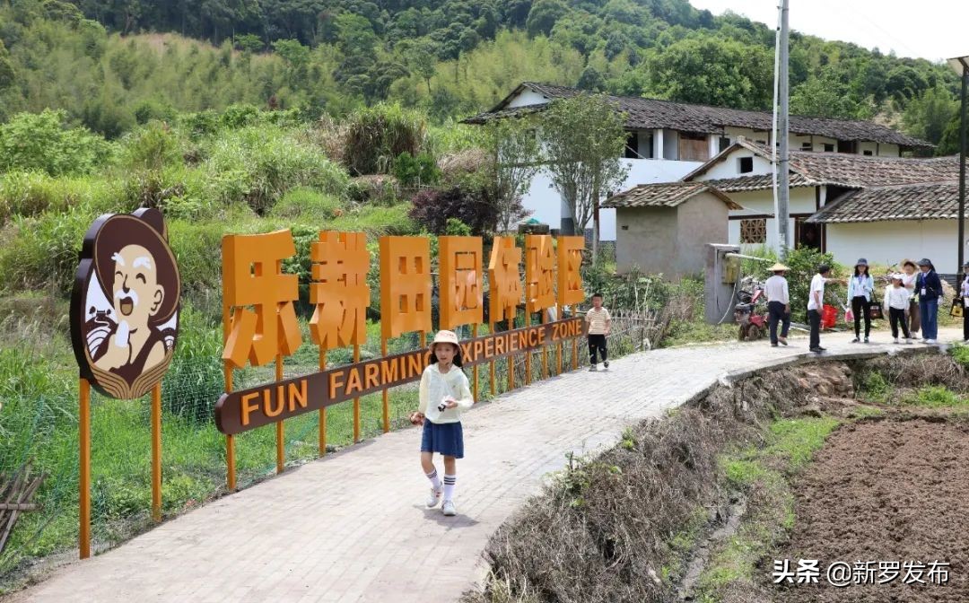 山水文化新罗,山水田园生态旅游节