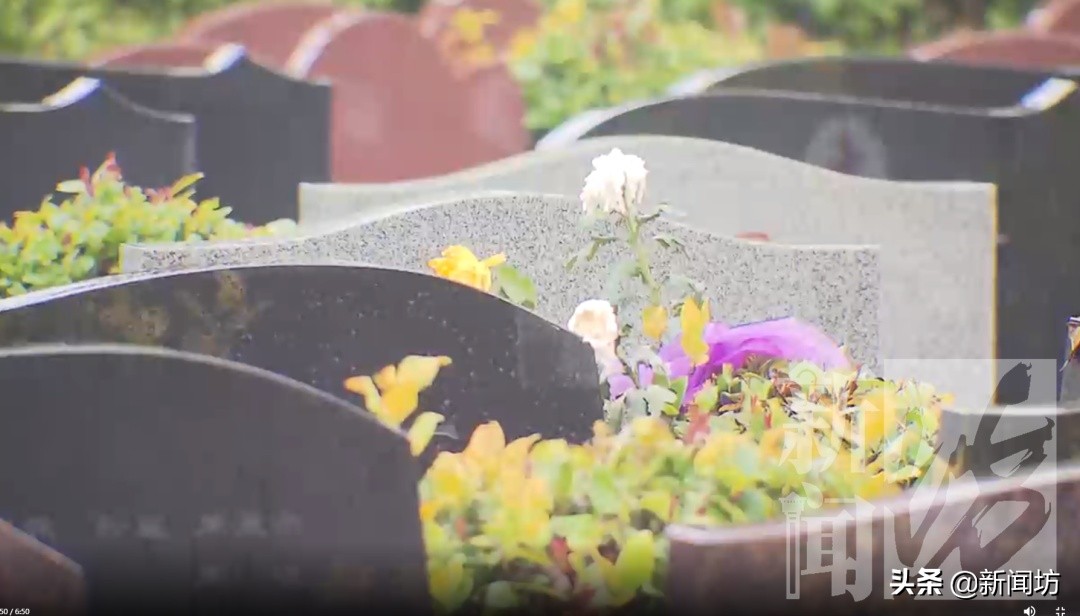 上海滨海古园云祭扫,上海公墓清明期间可以网上祭扫吗